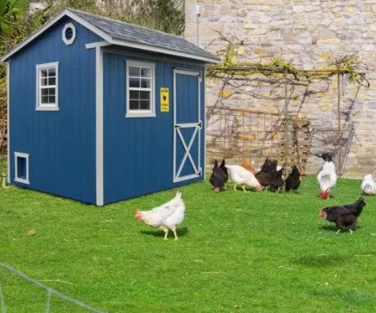 chicken coops for sale in union