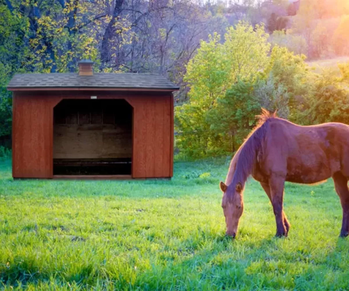 horse barns for sale in baker city
