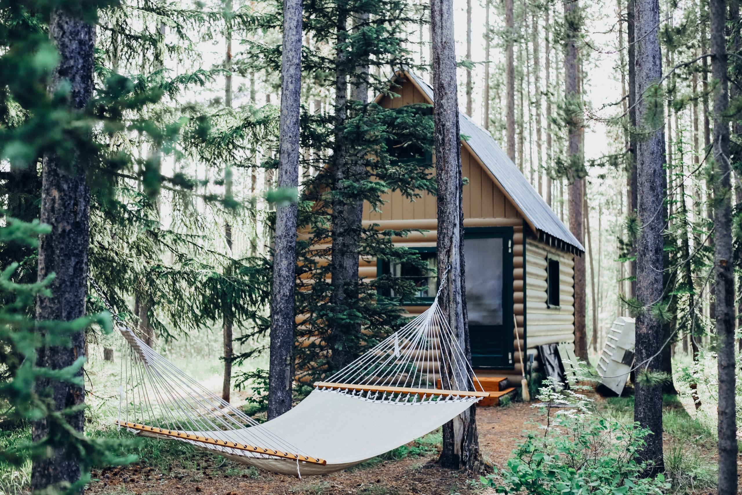 small cabin living (3)
