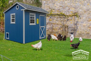 blue chicken coop shed design ideas