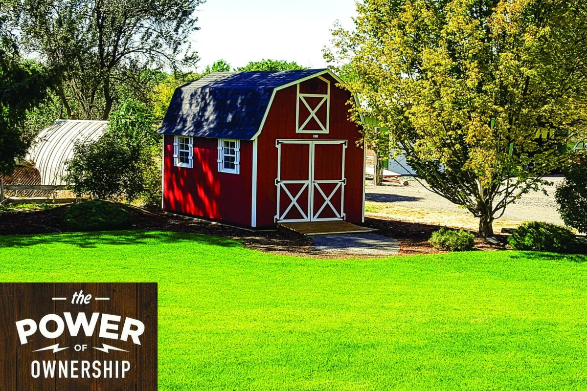 10x16 tall barn - Red painted wood siding with white-trimmed double doors with X detail on front - two windows with white shutters on left side - gambrel-style black shingled roof - barn is nestled among trees and faces neat green field