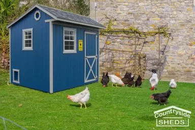 blue chicken coop shed design ideas